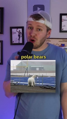 The craziest football field in the world #football