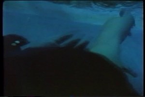 The Scorpion with Two Tails (1982) The pond in the cellar