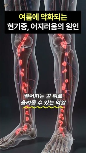 여름에 악화되는 현기증, 어지러움의 원인!