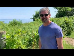 Get Ripped with Farmer's Carries! Day 79 of my 90 day Farmers Carry Challenge. Ep 14. I'm now 59!