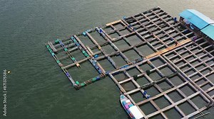 Traditional aquaculture floating fish farms, breeding, rearing, cultivating and harvesting of fish and shellfish in water environments, aerial view drone flyover shot.