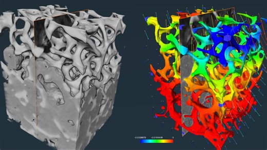 【Avizo/Amira培训练习】2023.2原位实验DVC全局数字体相关法练习 Global DVC with Regularization Tutorial