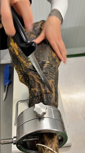 Cómo empezamos un jamón ibérico para cortarlo a cuchillo | Guijuelo
