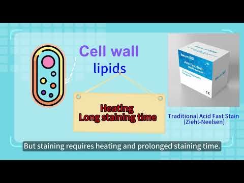 Mycobacterium tuberculosis fluorescent staining solution