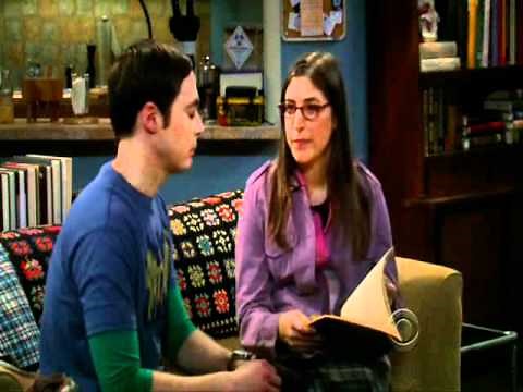 Sheldon and Amy's Relationship Agreement - The Big Bang Theory S5x10