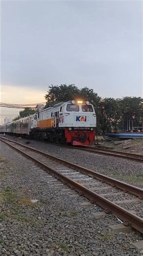 cc 206 KA Argo Wilis #keretaapi #panoramic #cc206 #fasttrainindonesia