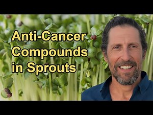 Medicinal Properties of Sprouts, Particularly Their Anti-cancer Compounds with Doug Evans