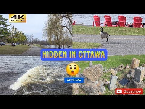 This Hidden Riverside Walk in Ottawa Will Relax You Instantly 😌 | 4K + Ambient Music