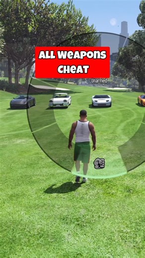 GTA Cheats Pro on Instagram: "Gta 5 Cheat for All weapons #gtav #gta"