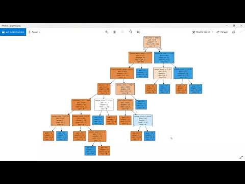 Visualisation d'un modèle d'arbre de décision avec l'outil Graphviz