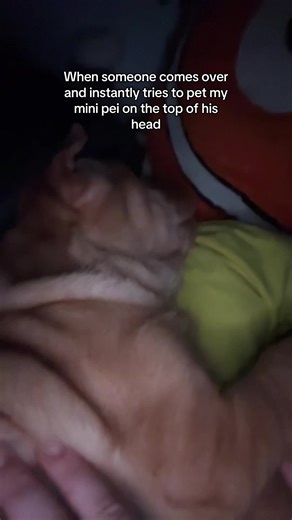 Like that’s TWO big no nos😭