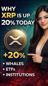 Why XRP Is Up 20% Today | Whale, ETF & On-Chain Signals Explained