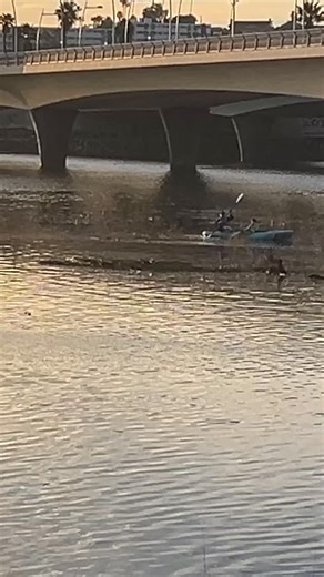 The Kayak and Shore Cleanup is here! The first kayakers are on the water cleaning trash from the estuary, ensuring it does not harm the 300 bird species that call it home. Thank you to all the volunteers for waking up so early to take action for the river and its wildlife! | San Diego River Park Foundation