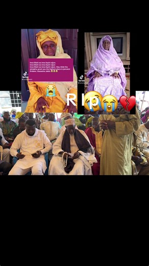 Mini Boss (@miniboss800)’s videos with original sound - Mini Boss