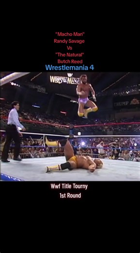 Macho Man Randy Savage vs Butch Reed at WWF 1988