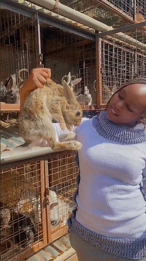 Life in a Modern Rabbitry 🐇💚 | Happy Bunnies Enjoy Eggplants in Their Self-Cleaning Cage!