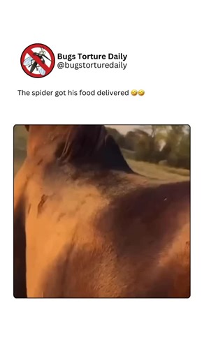 Bugs Torture Daily on Instagram: "Tiny bugs are sometimes hard to see with the human eye. They crawl on leaves, soil, and even water surfaces. Despite their size, they still play an important role in the environment."