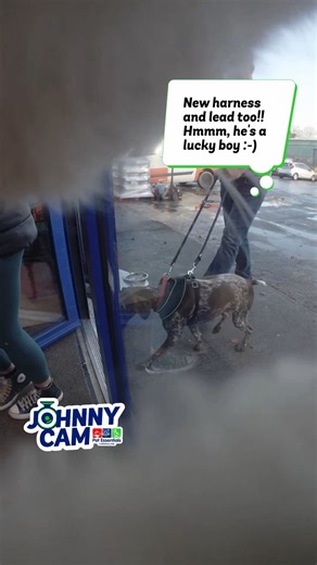 🐱 Get ready for a brand new view of Pet Essentials! 🐾 Introducing 'JohnnyCam'. A glimpse in to the life of our beloved shop cat, Johnny – all from his unique feline perspective! We want you to be part of Johnny's world! Pop into Pet Essentials in Carrigaline and you might just feature in a future JohnnyCam episode. Imagine the bragging rights! 😉 Follow us to catch every adorable moment of Johnny's adventures and let us know in the comments what you'd like to see Johnny get up to next! #Johnny