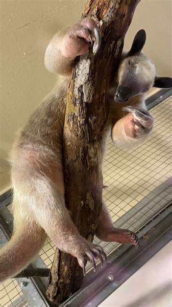 7.1K views · 464 reactions | Only four days left to choose our names...