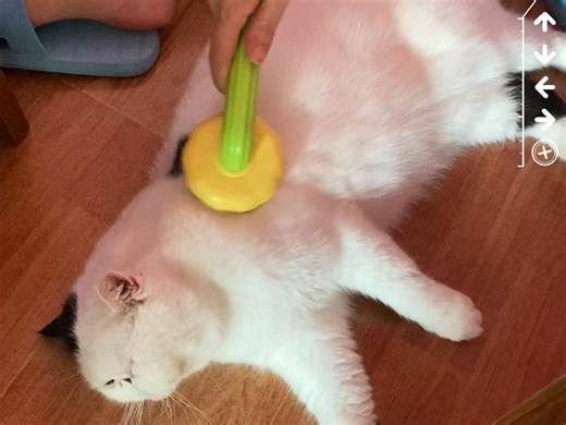 【无语333】最新视频已上线，快来围观！