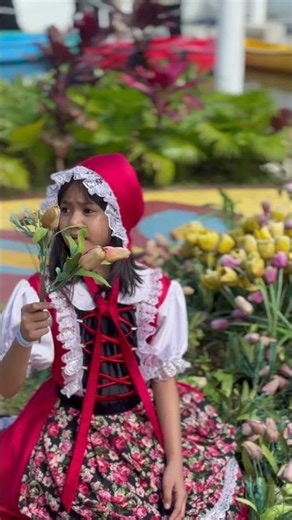 Akiffa di taman bunga 🌷 tulip