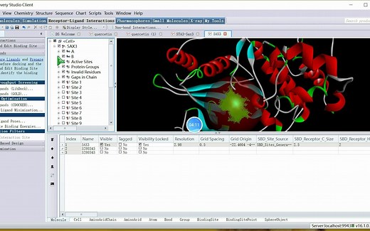 Discovery studio 分子对接