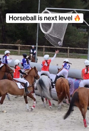 Exploring Horseball: The Ultimate Mix of Polo and Quidditch