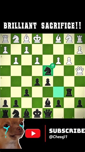 BRILLIANT!! SACRIFICE!!🐎☠️#chess #chessbaseindia #chessgame #chesstricks #chesstactics #viralshort