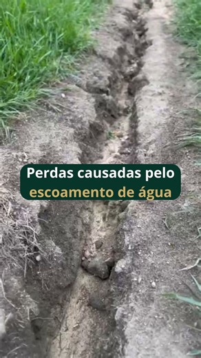 Rehagro Café on Instagram: "O escoamento concentrado de água nos sulcos de plantio pode provocar sérios danos nas áreas recém-implantadas. Quando não há controle das enxurradas, a força da água remove o solo do entorno das mudas, causando: • Arranquio e tombamento de plantas, que são levadas pela enxurrada; • Exposição do “bloquinho” de terra e das raízes; • Assoreamento do sulco e acúmulo de solo sobre as mudas; • Redução do pegamento e falhas na lavoura. Esses processos estão associados à ero