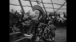 CIRCA 1930s - Prancing horses perform tricks in all 3 rings inside this 1930s, early 40s, 3 ring circus tent.