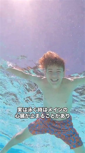 【99%が知らない】タコは心臓3つ！血液が青色で泳ぐとメイン心臓停止