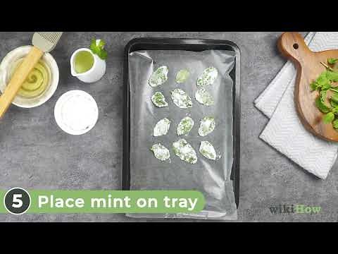 How to Make Candied Mint Leaves