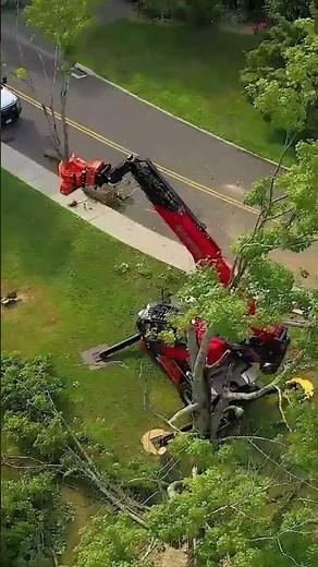 Manitou Rotating Telehandler + woodcracker tree saw - extract