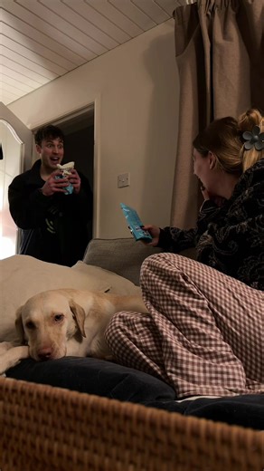 Chocolate Lovers Rejoice: A Sweet Surprise Awaits!