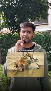 The 2026 union budget and tourism