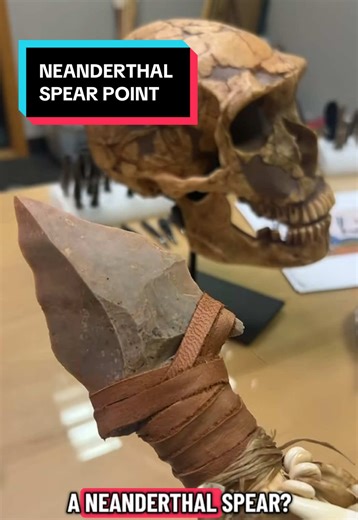 Exploring the Sharpness of Neanderthal Spear Points