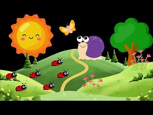 Snail's Trail: A slow and soothing baby sensory video with high contrast