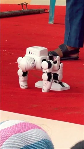 💪 Robot Exercise show