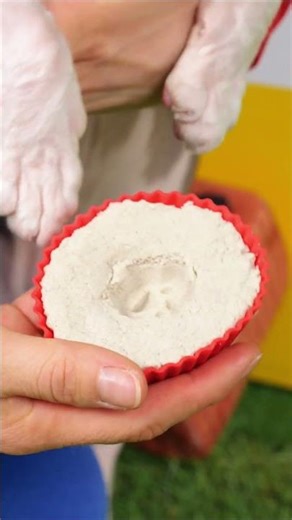 Paw-Some Print Lock DIY! 🐾🔒 Fun Security Project