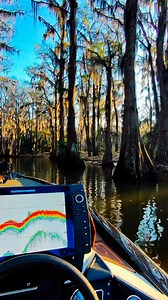 Love this time of year on Caddo #caddolake #fallfishing #makingmemories #Godmakesbeautifulthings #natureisbeautiful #copperredbaits #skeeterboats #ampdmarine #berkleyfishing #trilenefishing | Caddo Lake Fishing & Fellowship Guide Service