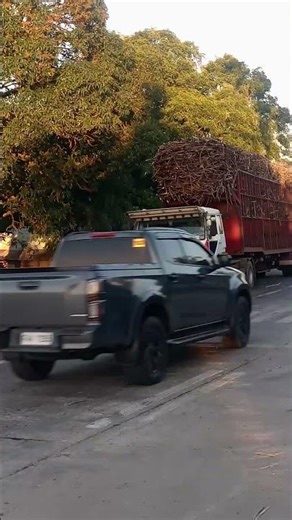 pitik ni mortex transloading truck hauler