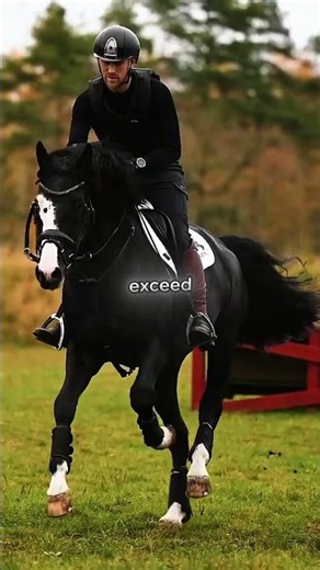 The 3 Most Expensive Horse Breeds in the World 🐎💎