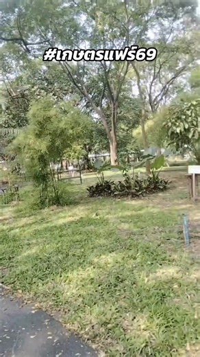 😳งานเกษตรแฟร์ร้านเราก็ไม่พลาดนะครับ 🤭 ##เกษตรแฟร์69##เก็ตมะม่วงจิ้ม##ของทานเล่นอร่อยๆ