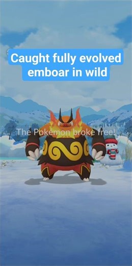 caught fully evolved emboar in wild