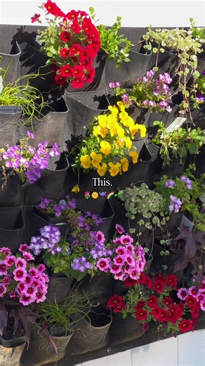 Discover Spring in Billings: Outdoor Fun Awaits!