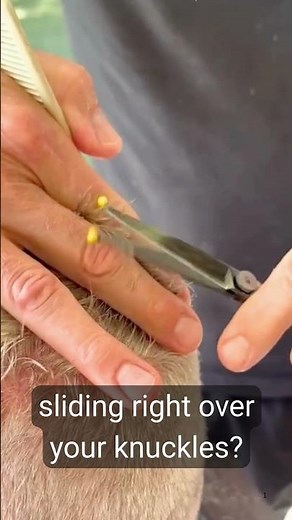 Meet the Ballr™ Shears Built for Fast, Fearless Point Cutting-in HD #barbertools #pointcutting
