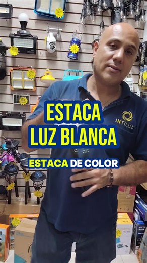 Estaca Solar de Luz Blanca para Jardines y Macetas