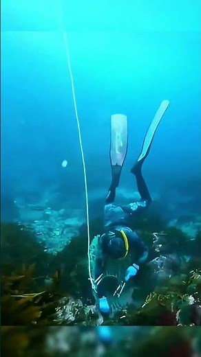 The correct way to catch seafood |Aqua Quest #aquaquest #damselfly #fishing #underwater #seafood