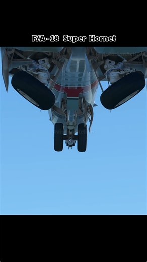 Fighter jet landing gear deployment caught on camera #military #shorts