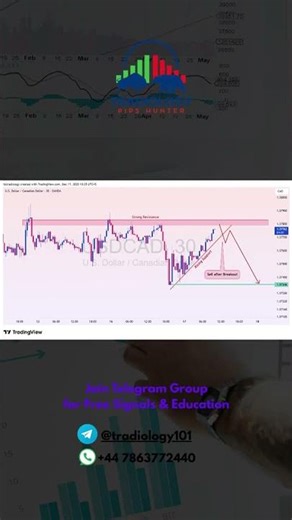 🧭 Live Forex Analysis Today — Short-term Trade Ideas by Tradiology